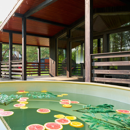 Домик в Соснах — фото