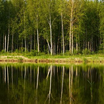 Дуплекс с баней на компанию до 6 гостей — фото 27