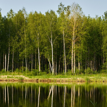 Glass Box 85 — фото 27
