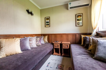 Полулюкс Твин Пайн (Две сосны) — фото 3