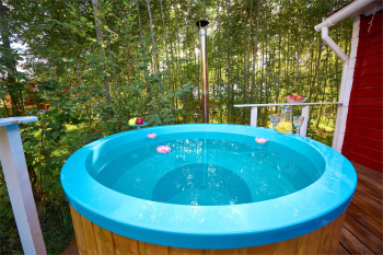 ДОМ ОХОТНИКА С КУПЕЛЬЮ НА ДРОВАХ — фото 1