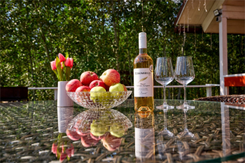 ДОМ У ОЗЕРА С КУПЕЛЬЮ НА ДРОВАХ — фото 4