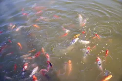 Рыбалка — фото 1