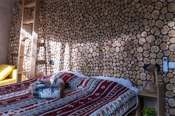 3 сфера "Можжевельник" — фото 5