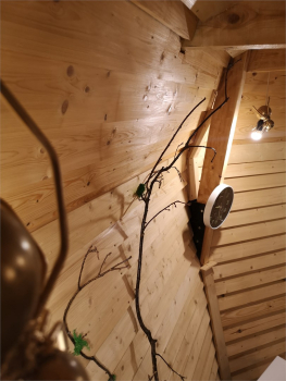 Домик Эльфа — фото 17