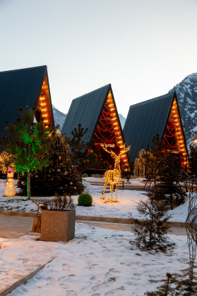 ANAKA ( верная карточка) — фото