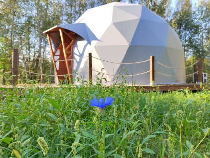 Князь Гвидон — фото