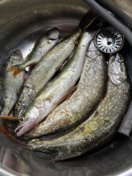 Рыбалка — фото 2