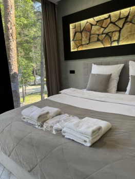 НОМЕР ДЕЛЮКС С КАМИНОМ НА ВТОРОМ ЭТАЖЕ — фото 8