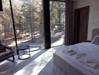 НОМЕР ДЕЛЮКС НА ВТОРОМ ЭТАЖЕ — фото 1