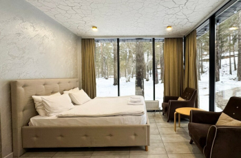 ДОМ-СТУДИЯ ДЕЛЮКС — фото 10