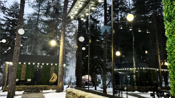 БЕСЕДКА-СФЕРА — фото 7