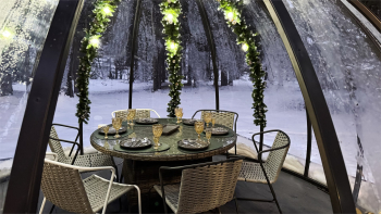 БЕСЕДКА-СФЕРА — фото 6