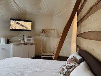 Сфера «Лемурия» — фото 4