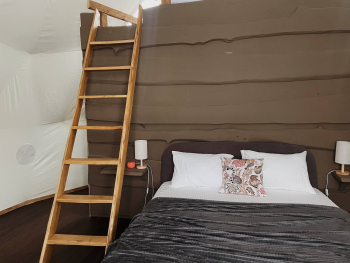 Сфера «Мадагаскар» — фото 7