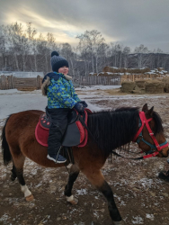 Конные прогулки — фото 1