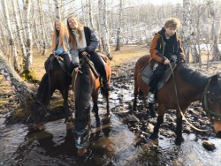 Конные прогулки — фото 6