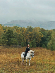 Конные прогулки — фото 4