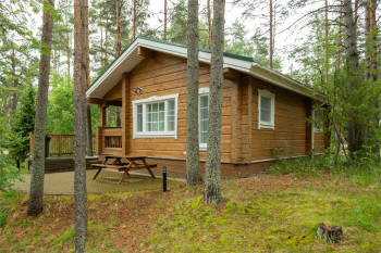 Уютный одноэтажный коттедж 1 спальная комната 58 кв.м. — фото 12