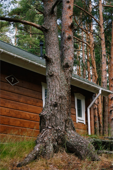 Семейный коттедж с детской мансардой 60 кв.м. — фото 12