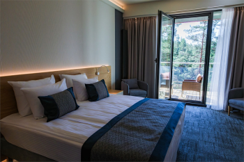 ДЕЛЮКС c панорамным видом и балконом 25-29 кв. м. — фото 8