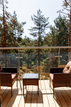 ДЕЛЮКС c панорамным видом и балконом 25-29 кв. м. — фото 12