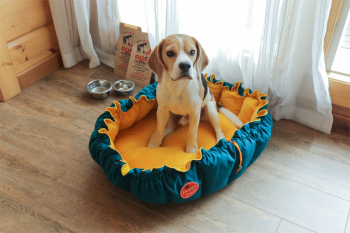 Стандартный номер с ПАНОРАМНЫМ ВИДОМ И БОЛЬШИМ БАЛКОНОМ 23 кв.м. — фото 6