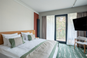 ДЕЛЮКС c панорамным видом и балконом 25-29 кв. м. — фото 3