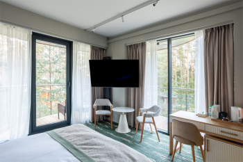 ДЕЛЮКС c панорамным видом и балконом 25-29 кв. м. — фото 1