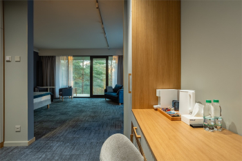 ДЕЛЮКС ПАНОРАМИК 41 кв.м. — фото 7