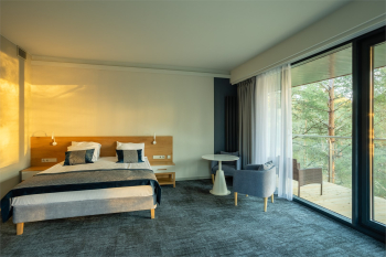 ДЕЛЮКС ПАНОРАМИК 41 кв.м. — фото 3