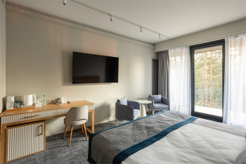 ДЕЛЮКС c панорамным видом и балконом 25-29 кв. м. — фото 6