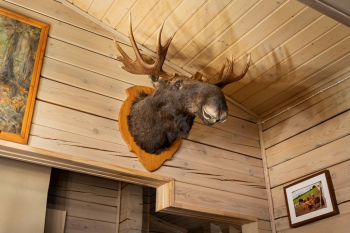 Президентский дом — фото 8