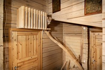 Президентский дом — фото 11