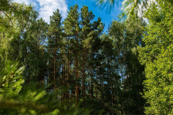 Коттедж-студия — фото 26