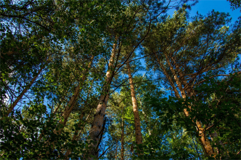 Коттедж-студия — фото 27