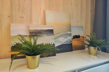 Коттедж-студия с доп комнатой — фото 7