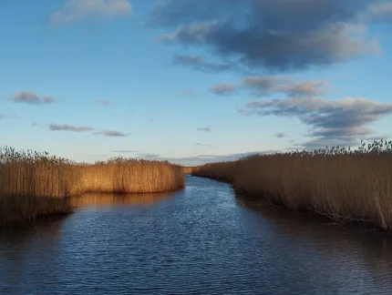 Усадьба Лебяжье — фото