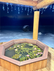 Горячий чан — фото 1