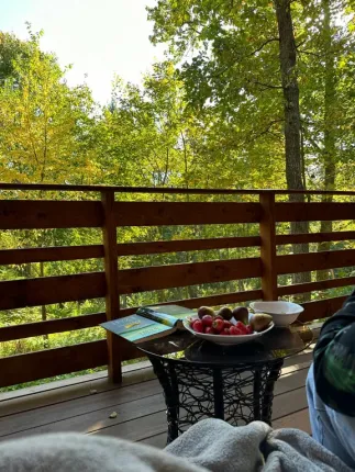 Парк-отель Ruza Forest — фото