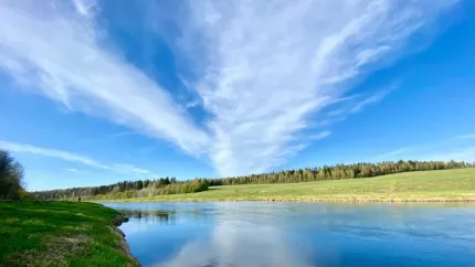 Парк-отель Ruza Forest — фото