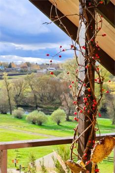 Эко-домик с панорамным окном и террасой 2+1 — фото 15