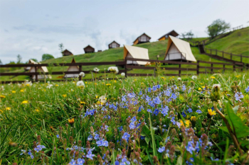 Шатёр  — фото 8
