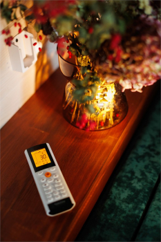 Эко-домик с панорамным окном и террасой 3 — фото 6