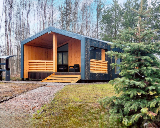 Тишь да камыш