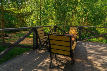 Тишь да камыш — фото