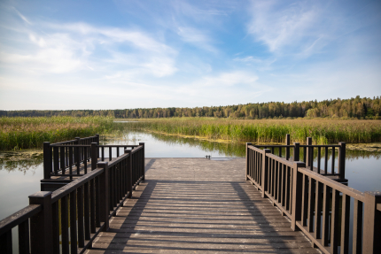 Лесной отель "НЕШАЛАШИ" — фото