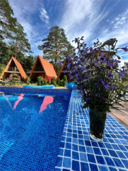 Бассейн — фото 1