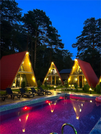 Robin hood — фото