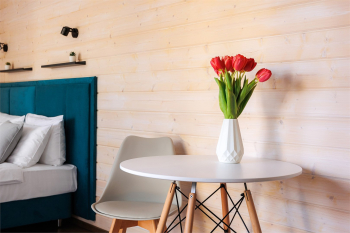 Однокомнатный домик с панорамными окнами и террасой — фото 2